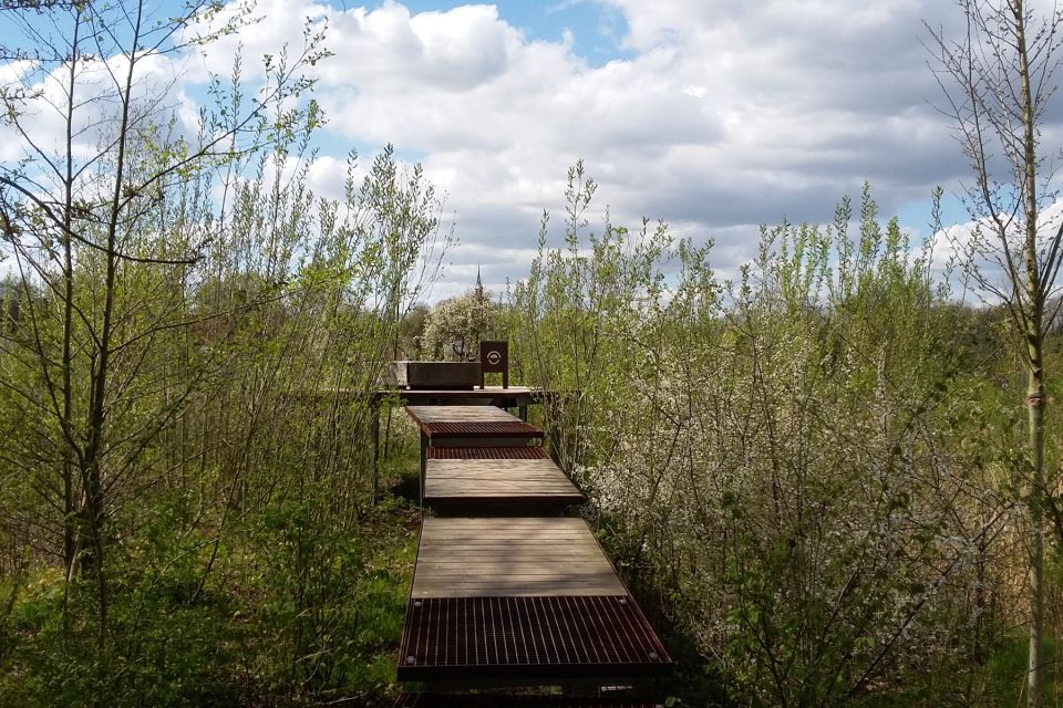 Naturbühne am Entdeckerpfad, Foto: TMB/G.Wieck