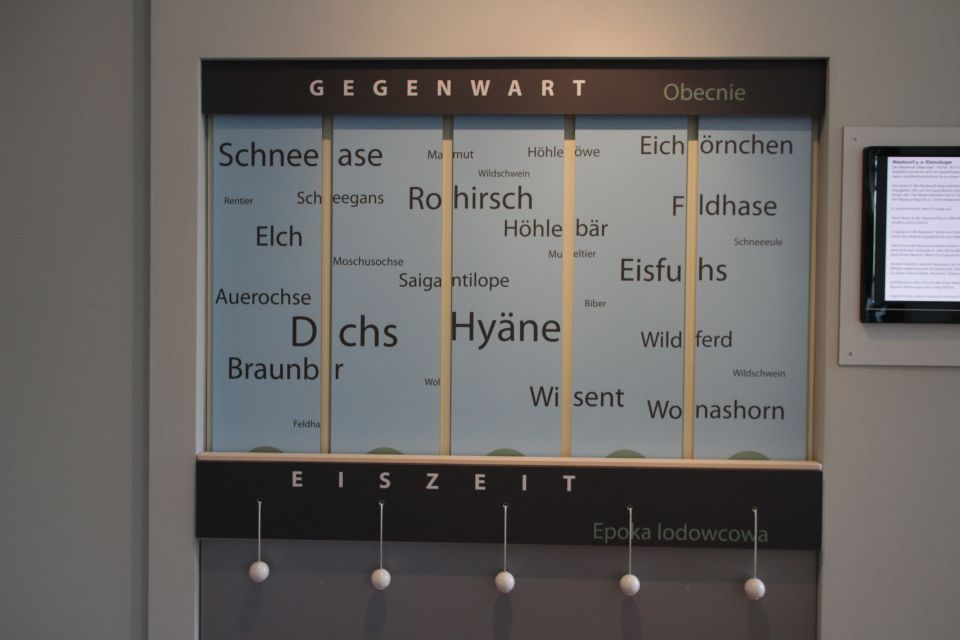 Besucher- und Informationszentrum Geopark, Ausstellung, Foto: Amt Joachimsthal (Schorfheide), Lizenz: Amt Joachimsthal (Schorfheide)