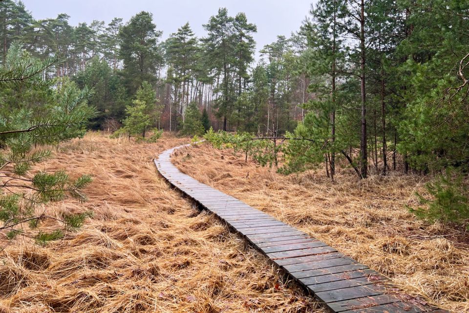 Holzsteg über das Luch, Foto: Anke Bielig, Lizenz: Anke Bielig