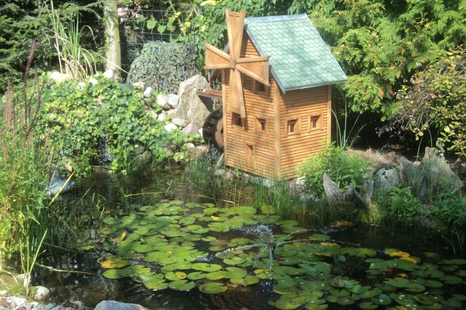 Garten Ferienwohnung Dittmer, Foto: Regina Dittmer, Lizenz: Regina Dittmer