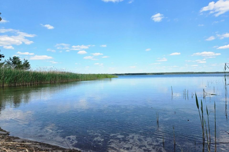 Grimnitzsee, Foto: Franziska Schwarz, Lizenz: Amt Joachimsthal (Schorfheide)