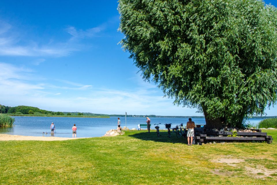 Liegewiese, Foto: Amt Joachimsthal, Lizenz: Amt Joachimsthal