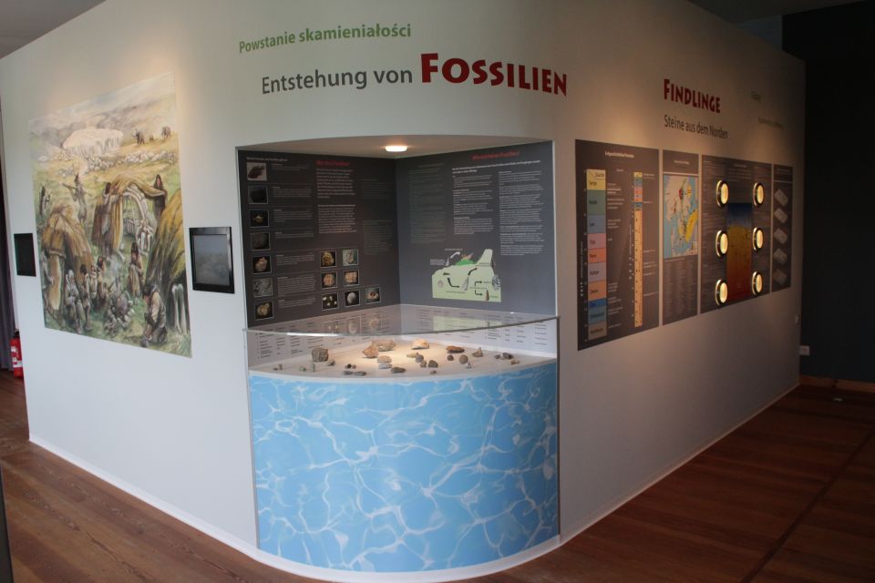 Besucher- und Informationszentrum Geopark, Ausstellung, Foto: Amt Joachimsthal (Schorfheide), Lizenz: Amt Joachimsthal (Schorfheide)
