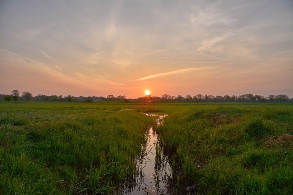 Umgebung, Foto: Bungis, Lizenz: Bungis