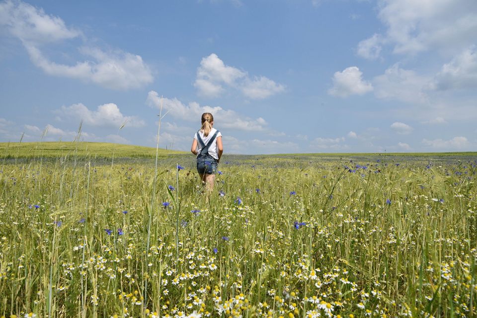 Feldwege, Foto: Bungis, Lizenz: Bungis