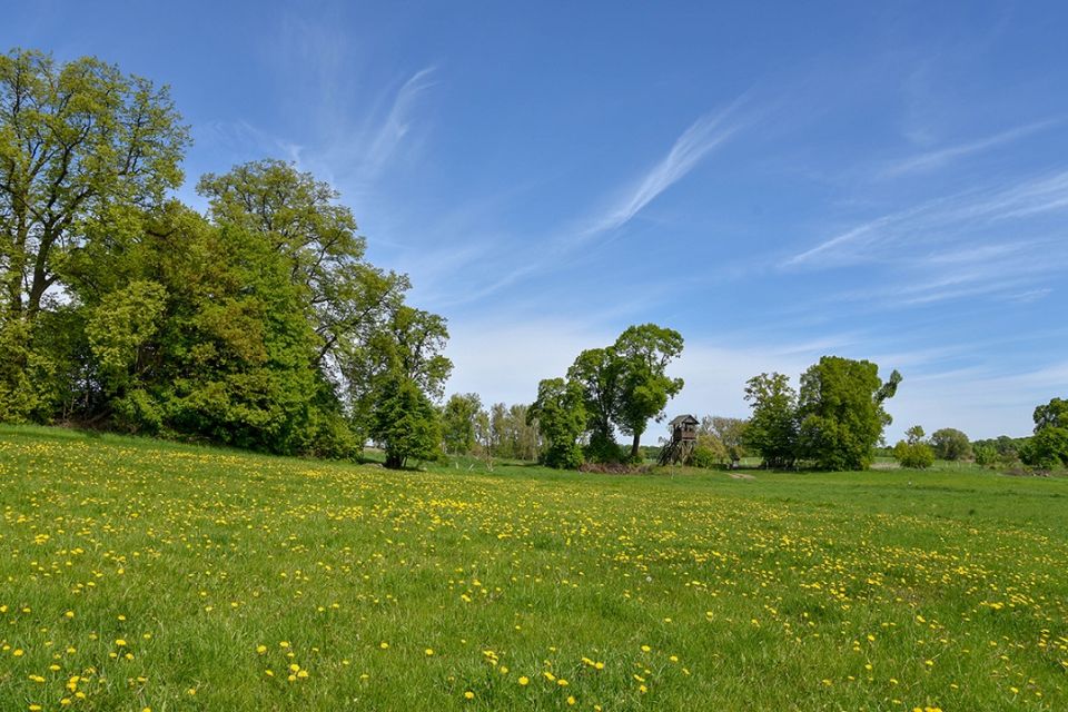 Umgebung Grimnitzsee, Foto: Bungis, Lizenz: Bungis