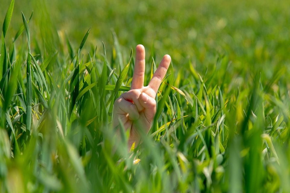 Urlaubszeit, Foto: Bungis, Lizenz: Bungis