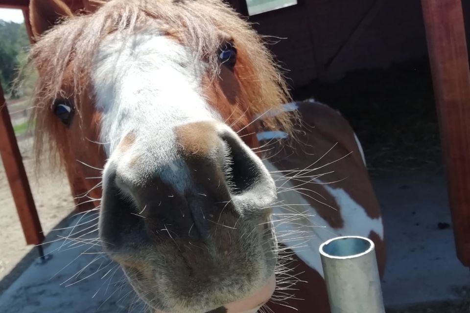 Haustierhof im Ferienpark, Foto: Bettina Bade, Lizenz: Ferienpark Templin GmbH & Co. KG