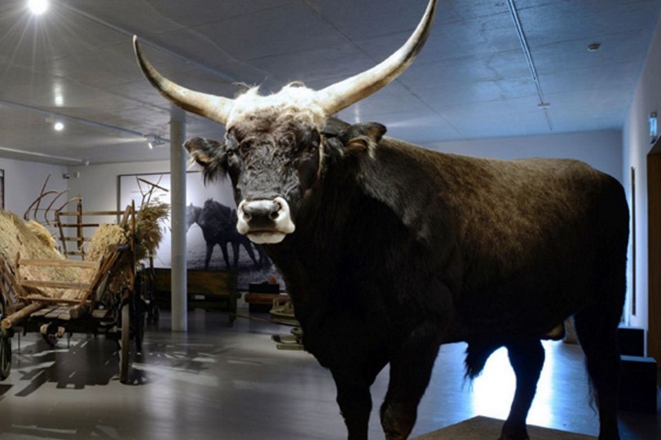 Ausstellung im BARNIM PANORAMA Naturparkzentrum, Agrarmuseum Wandlitz, Foto: BARNIM PANORAMA/Kienzle
