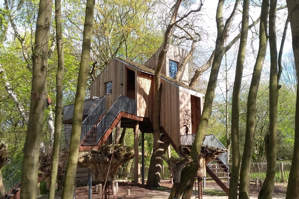 Baumhaus am Entdeckerpfad, Foto: TMB/G.Wieck