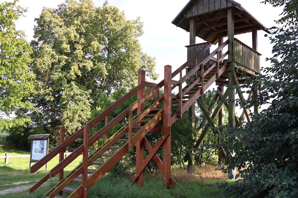 Aussichtsunkt Mellin, Foto: Uwe Martens, Lizenz: Amt Joachimsthal (Schorfheide)