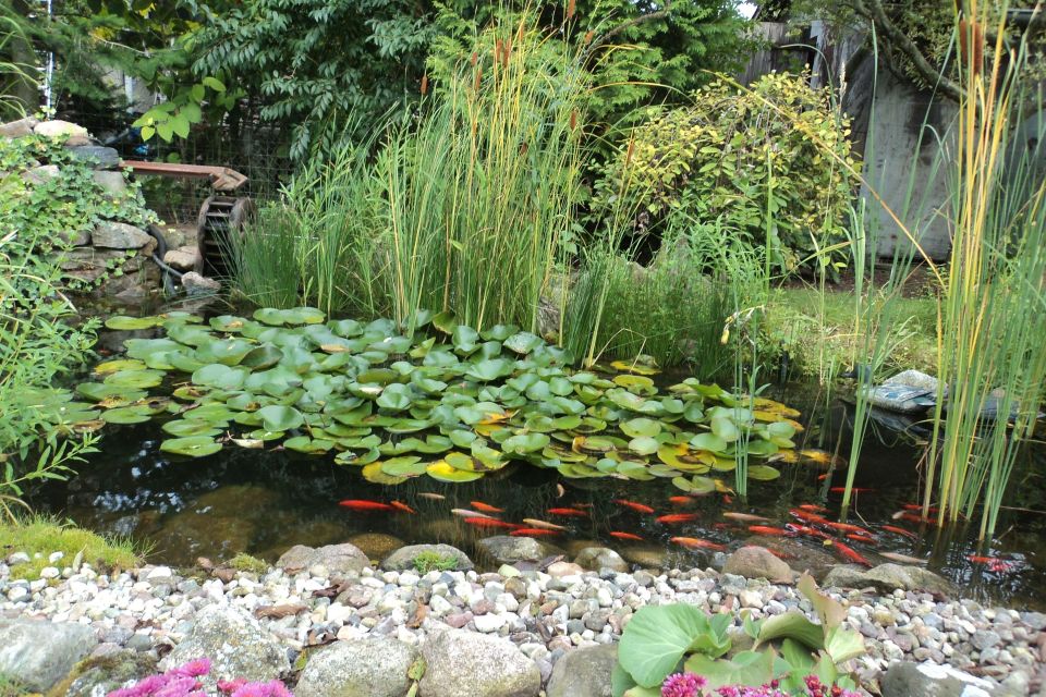 Garten Ferienwohnung Dittmer, Foto: Regina Dittmer, Lizenz: Regina Dittmer