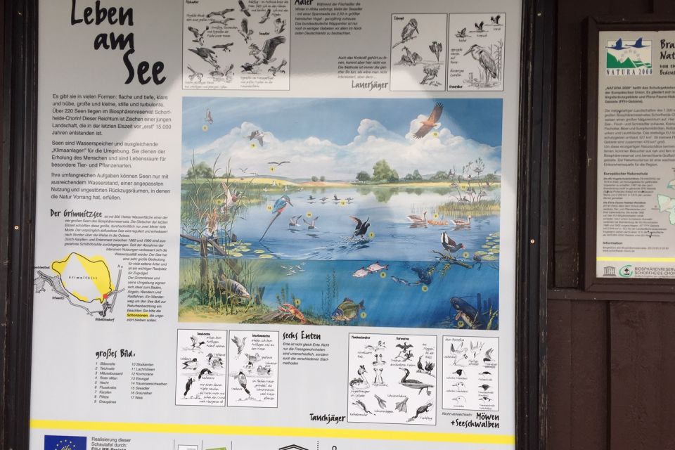 Naturbeobachtungspunkt, Infotafel, , Foto: Amt Joachimsthal (Schorfheide), Lizenz: Amt Joachimsthal (Schorfheide)