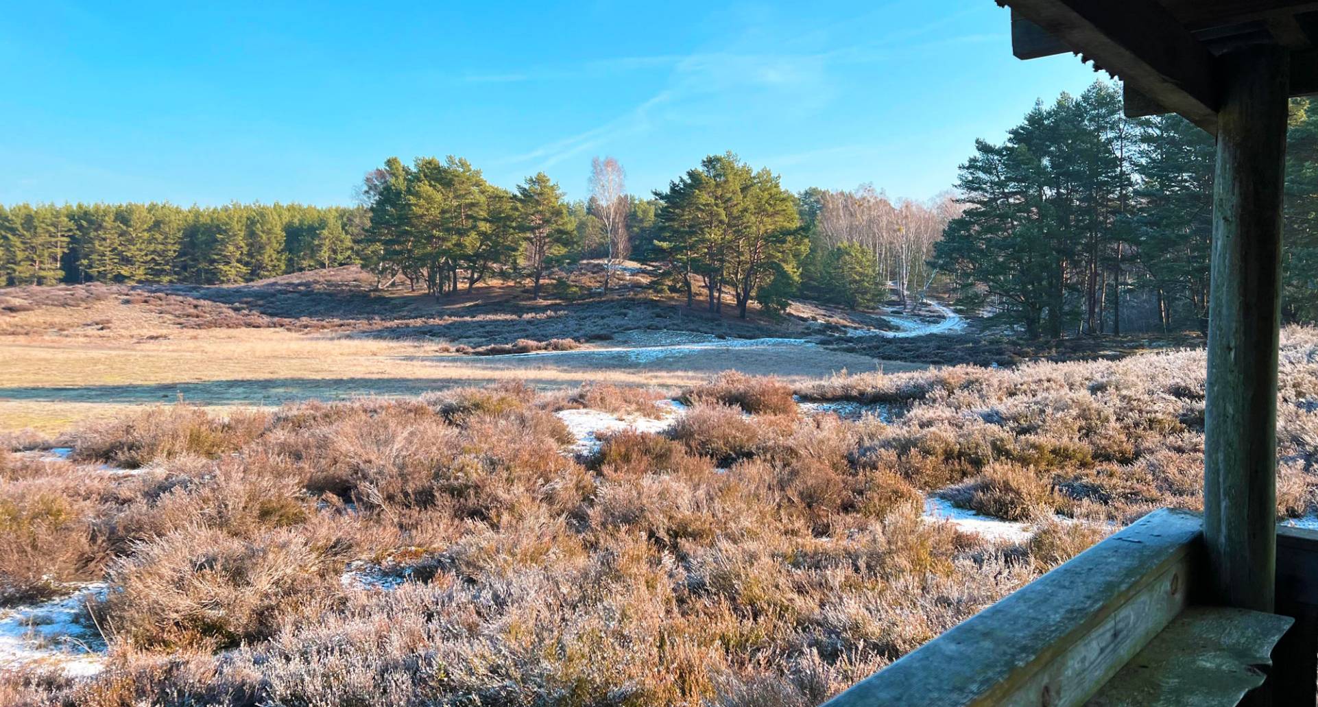Hügellandschaft Schorfheide